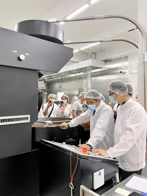 广州远淳实业咨询策划服务 赋能企业增长的实战策略与价值解析